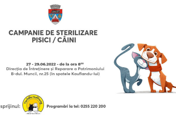 campanie sterilizare