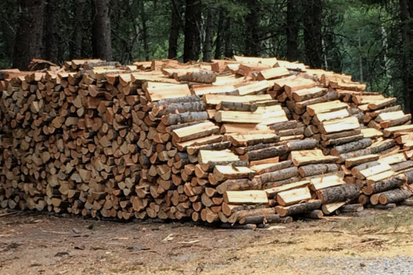 lemne de foc 5