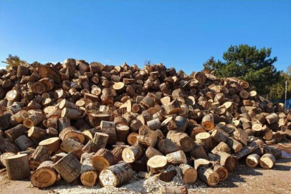 lemne pentru foc