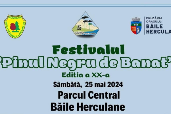 festival pinul negru copie