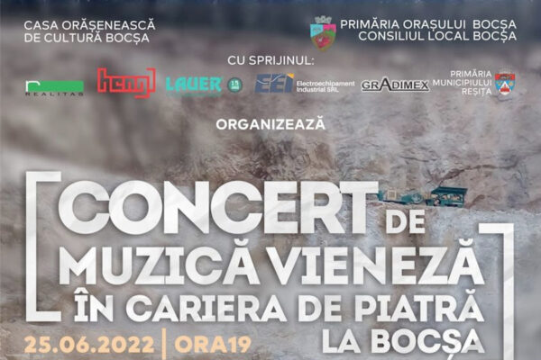 concert muzicĂ vieneza copie
