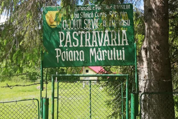 pastravaria poiana marului