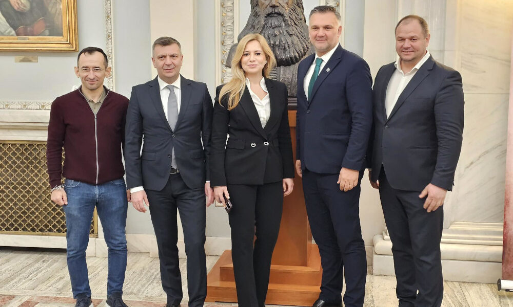 grup parlament