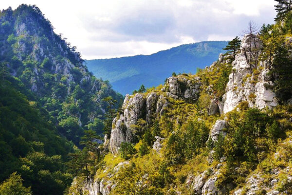 valea cernei