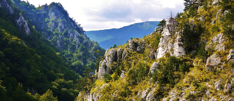 valea cernei