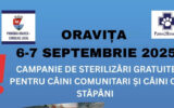 campanie sterilizare caini 2025 copie