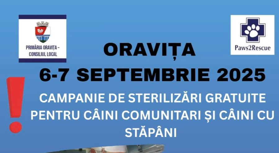 campanie sterilizare caini 2025 copie