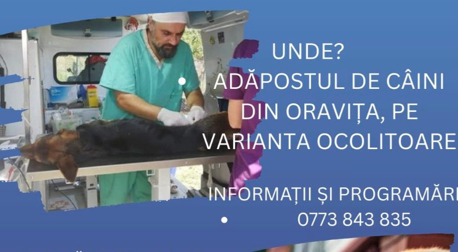 campanie sterilizare caini 2025