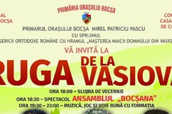 ruga de la bocsa copie (2)