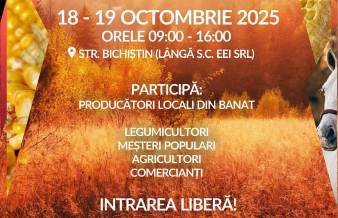 neu werk toamna 2025 copie