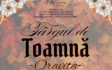 targ toamna oravita