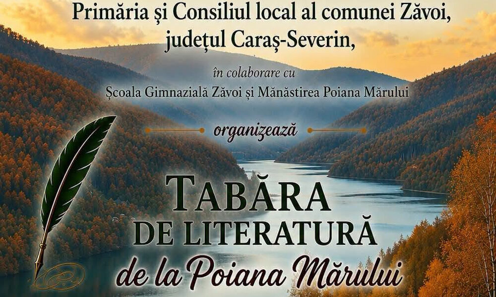 tabara copie